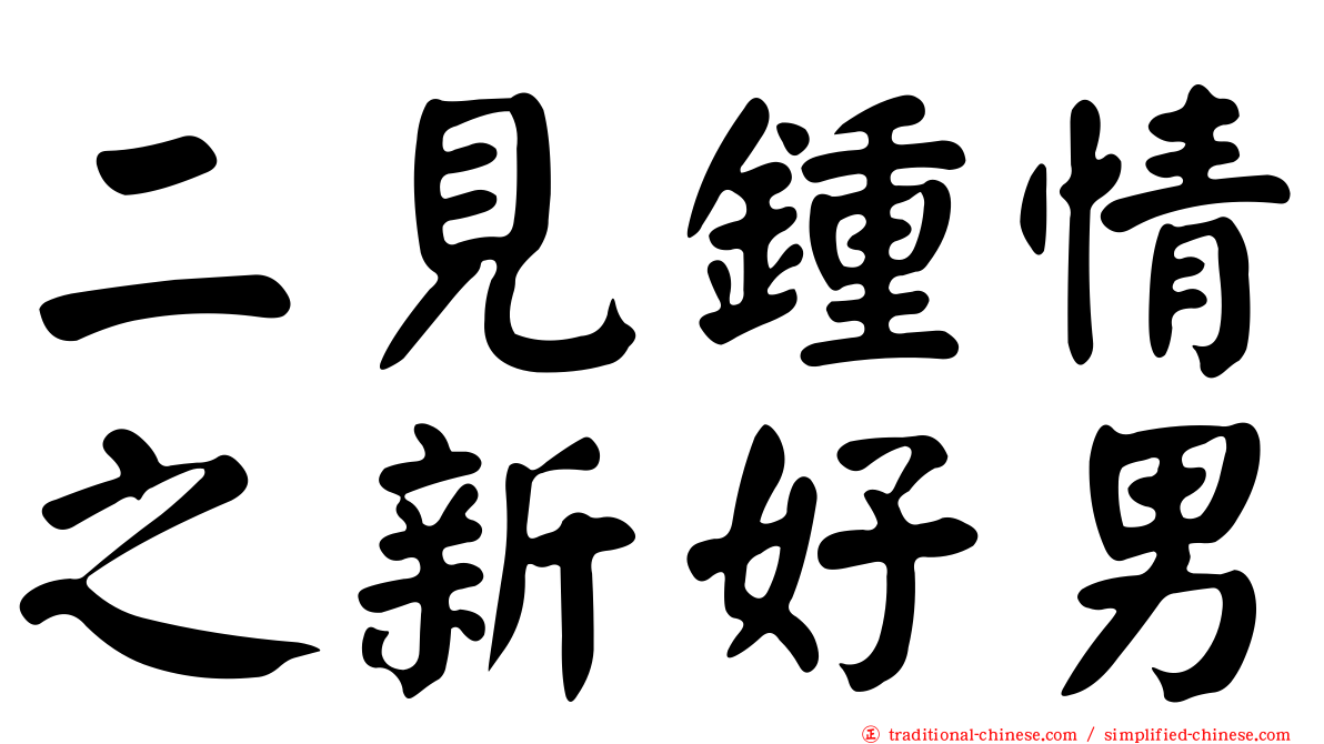 二見鍾情之新好男