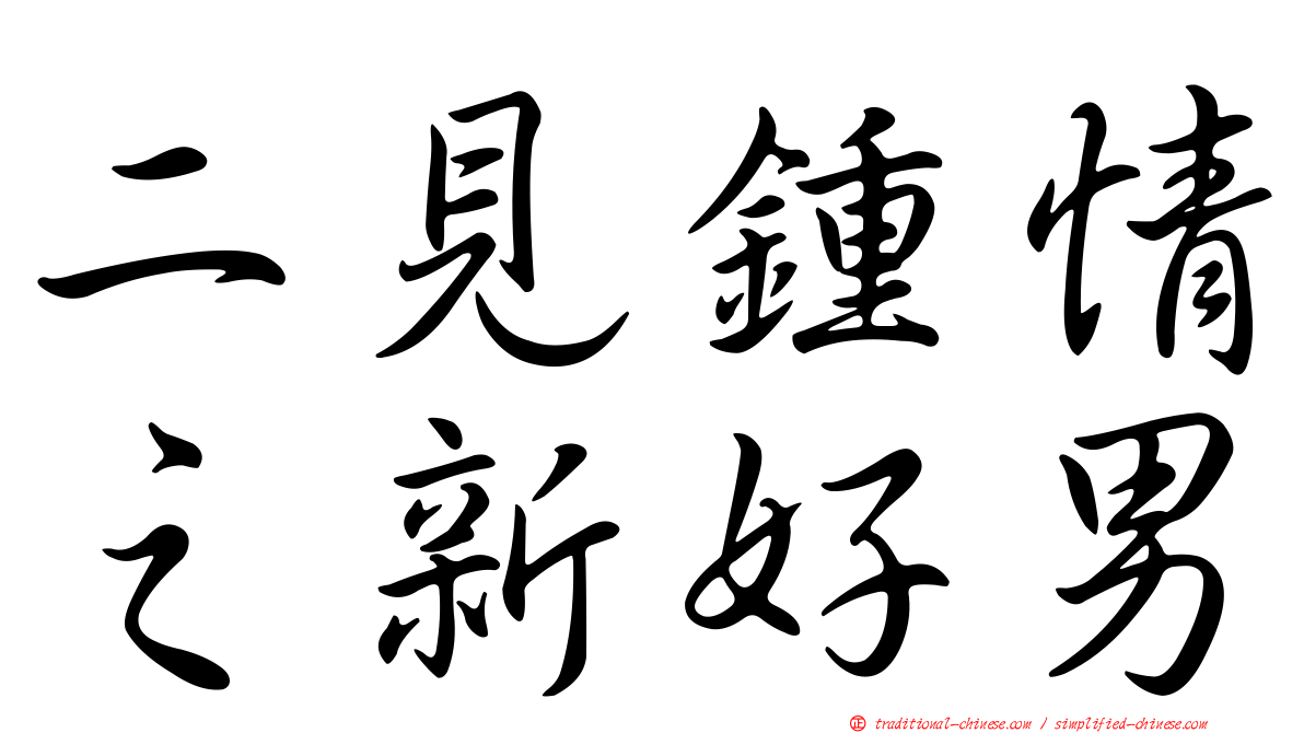 二見鍾情之新好男