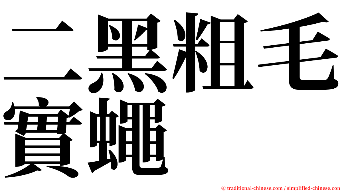 二黑粗毛實蠅 serif font