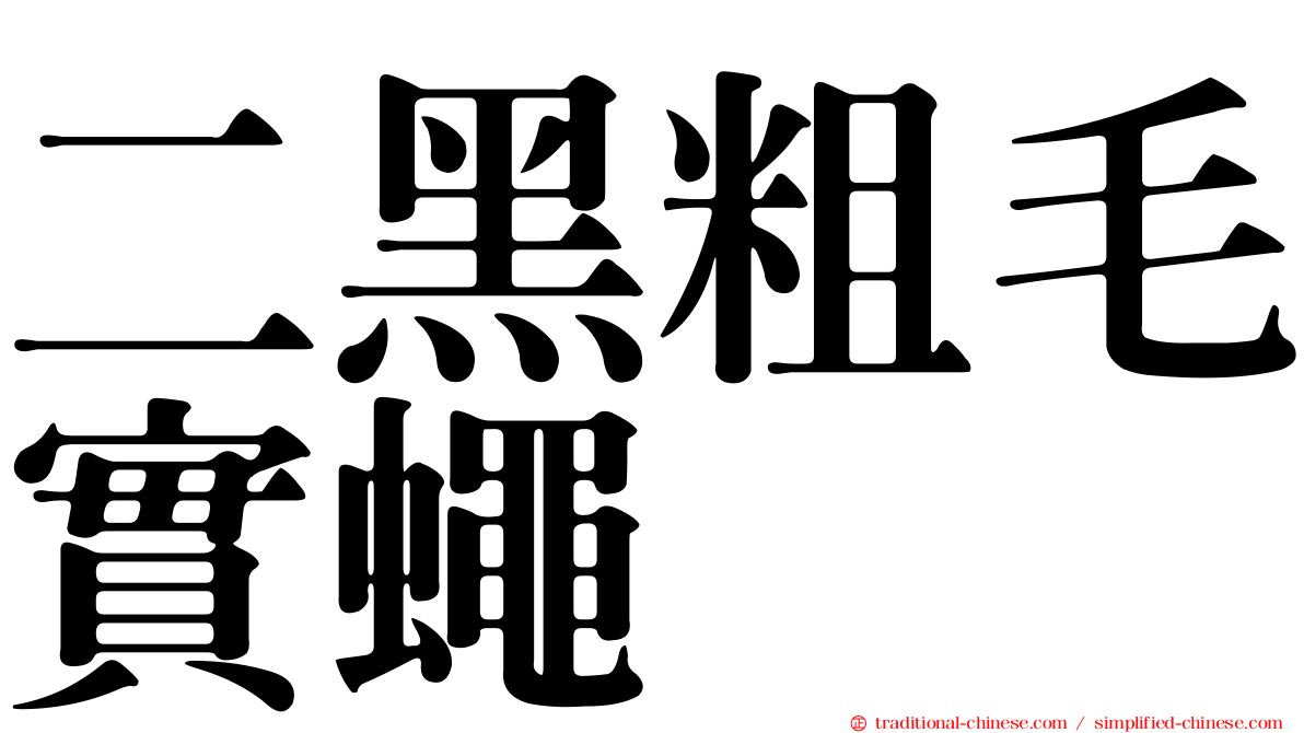 二黑粗毛實蠅