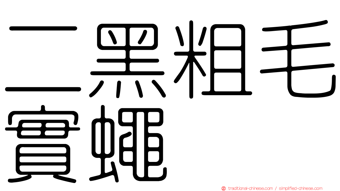 二黑粗毛實蠅