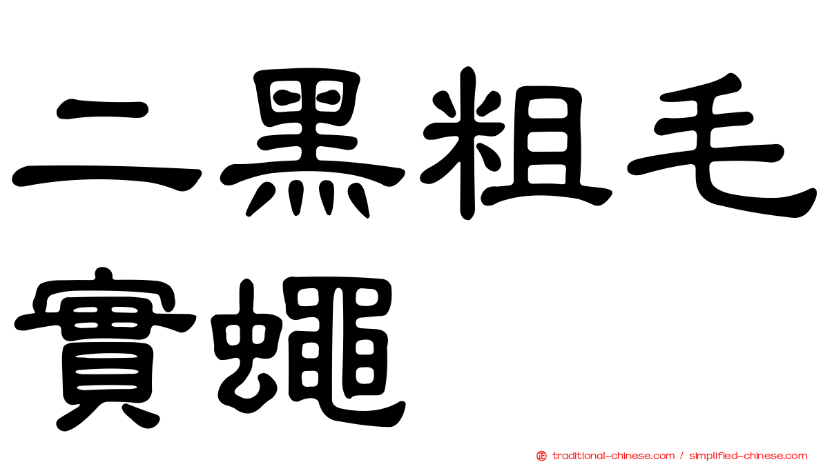 二黑粗毛實蠅