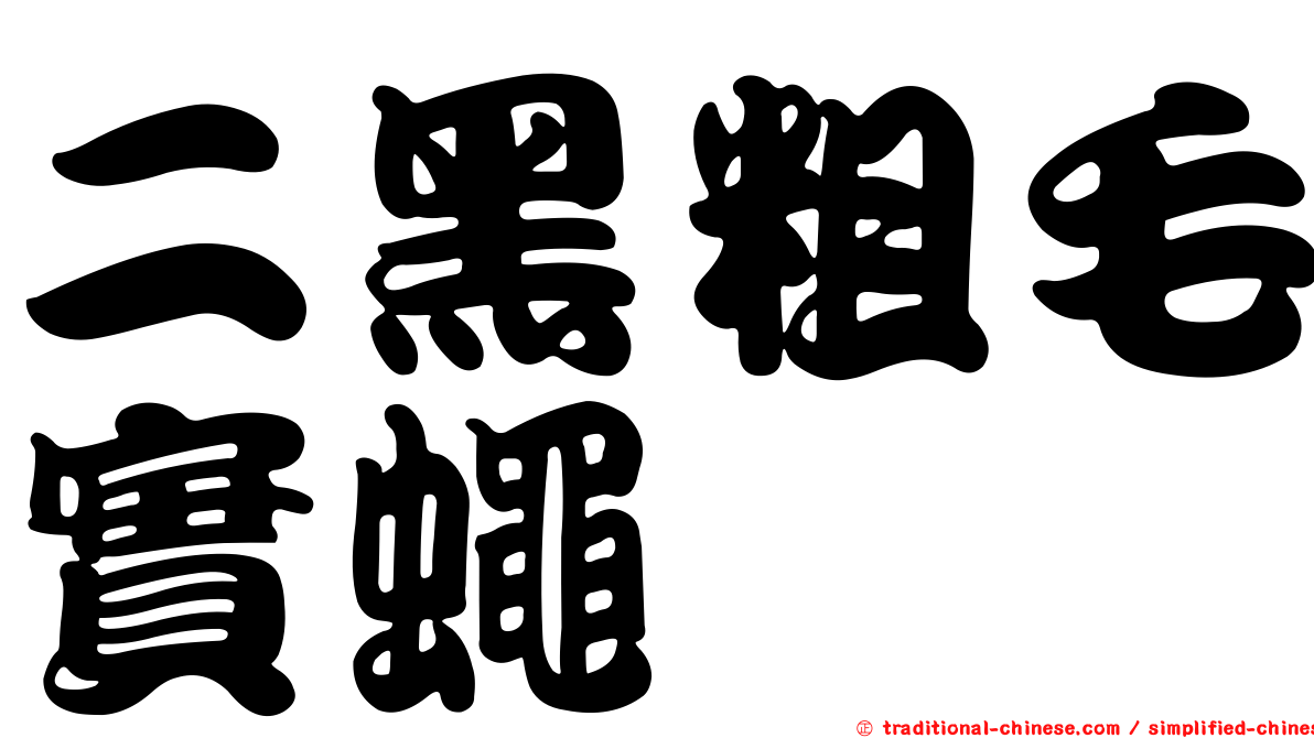 二黑粗毛實蠅