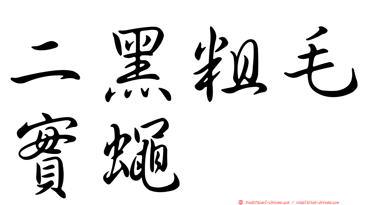 二黑粗毛實蠅