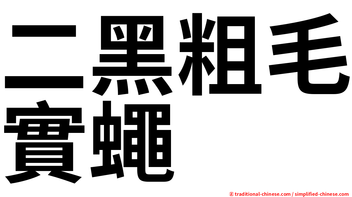 二黑粗毛實蠅