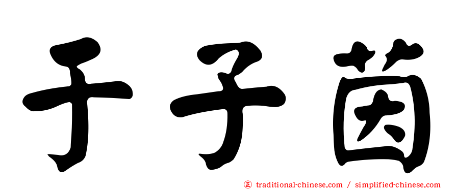 于子茵