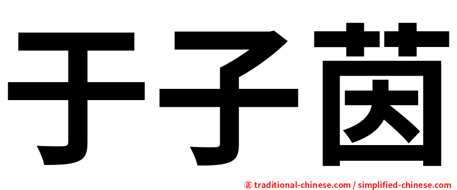 于子茵