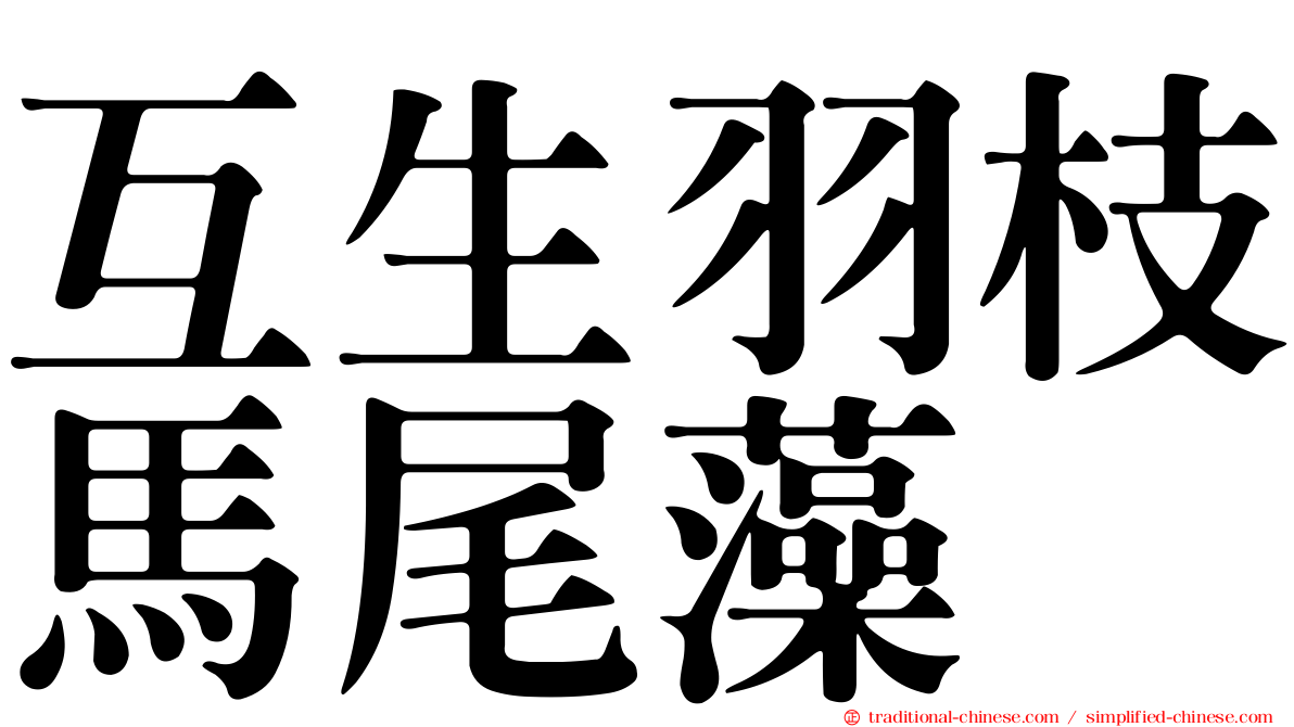 互生羽枝馬尾藻
