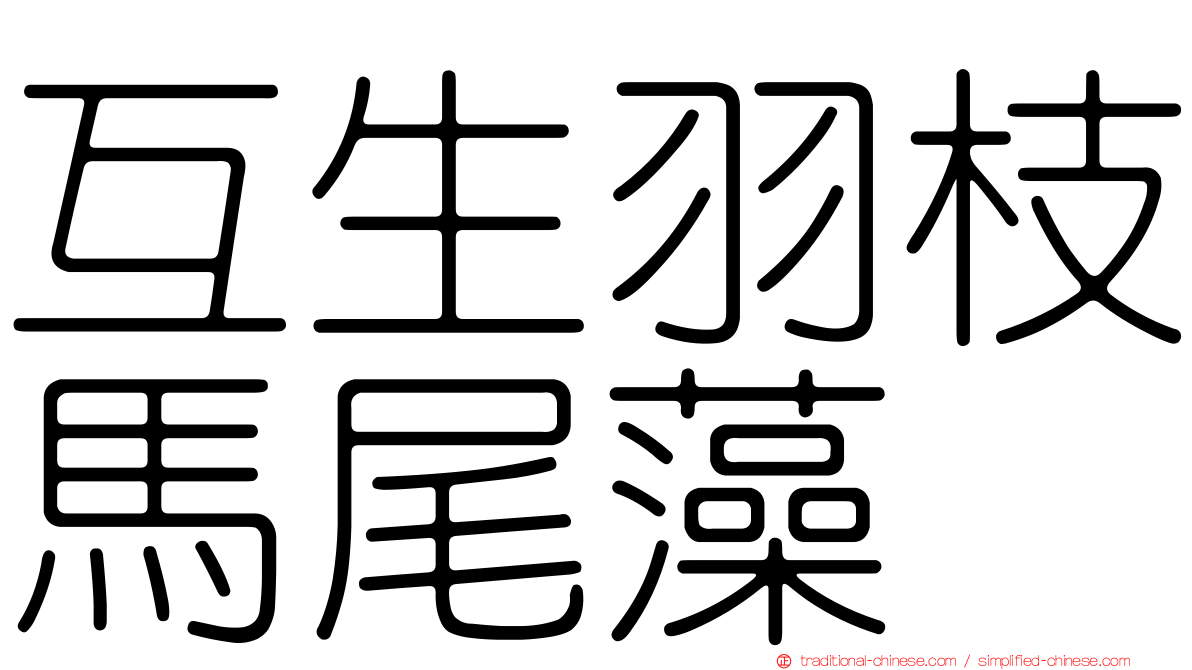 互生羽枝馬尾藻