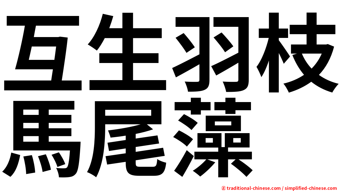 互生羽枝馬尾藻