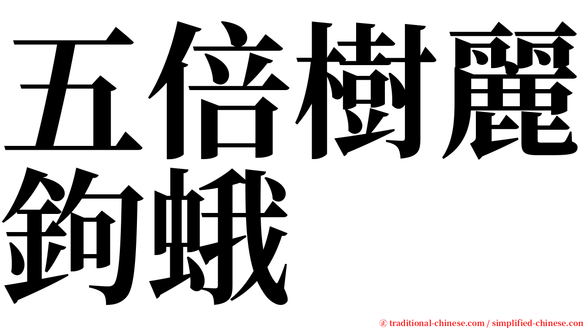五倍樹麗鉤蛾 serif font