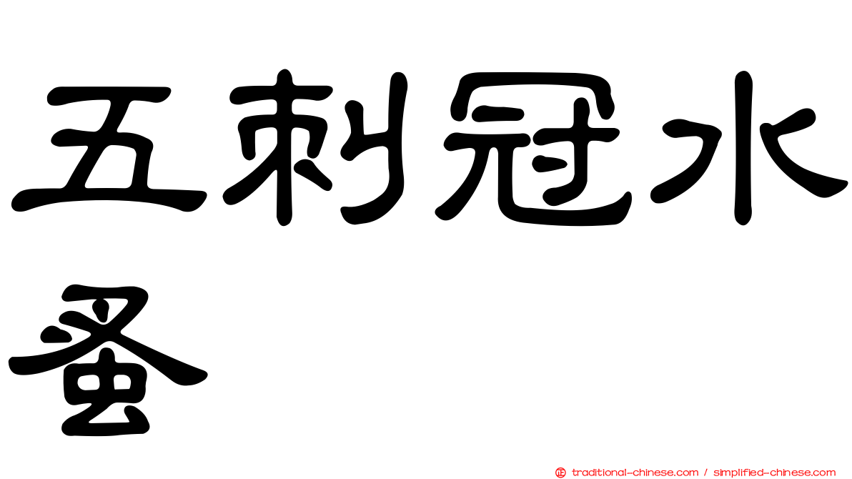 五刺冠水蚤