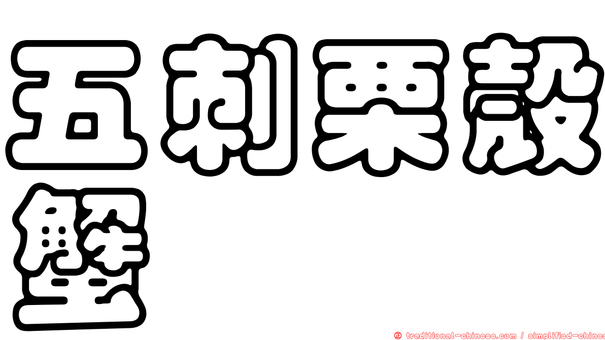 五刺栗殼蟹