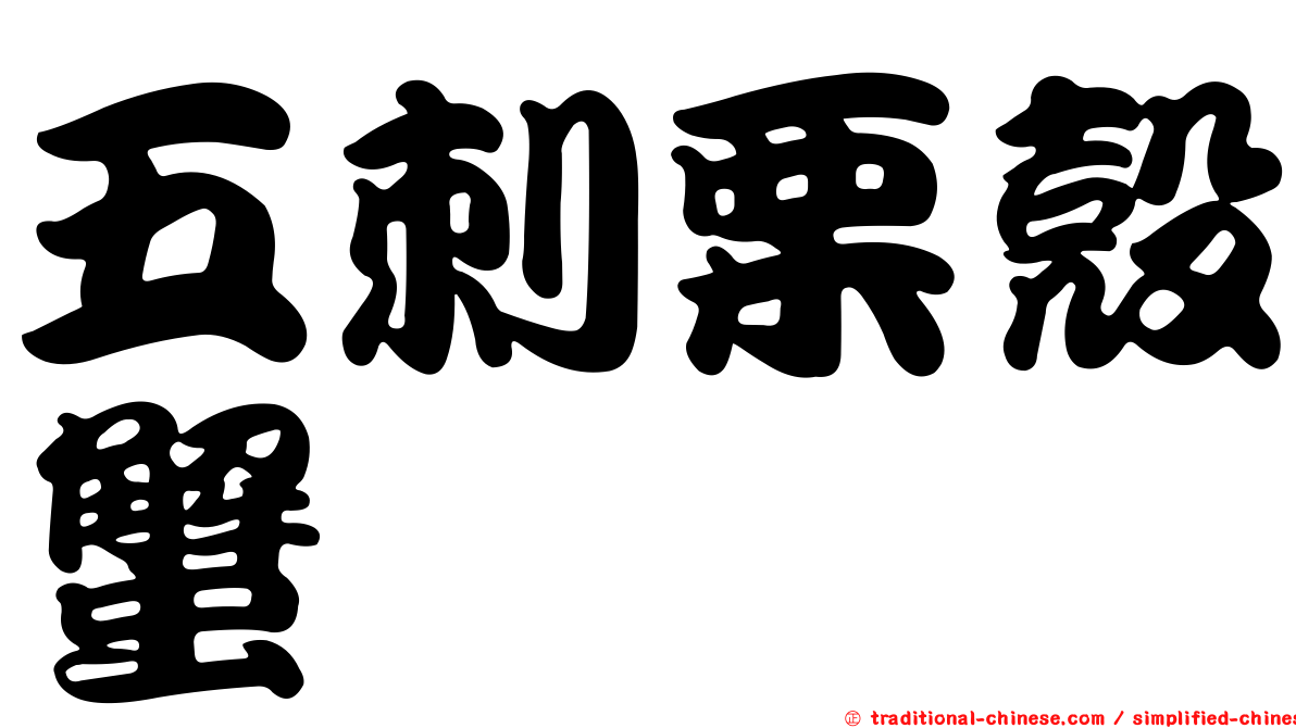 五刺栗殼蟹