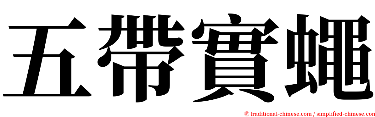 五帶實蠅 serif font