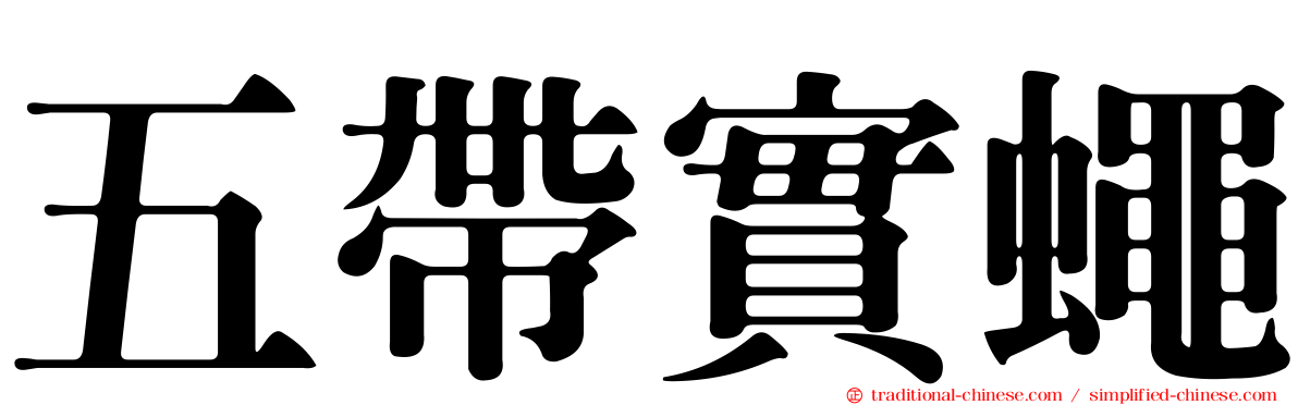 五帶實蠅