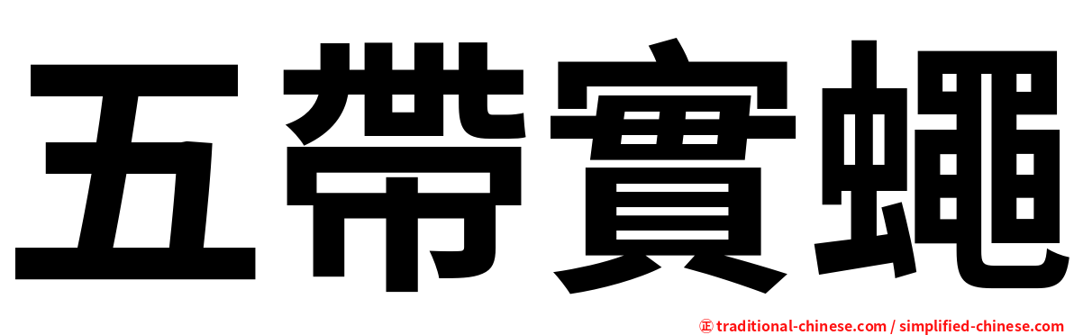 五帶實蠅