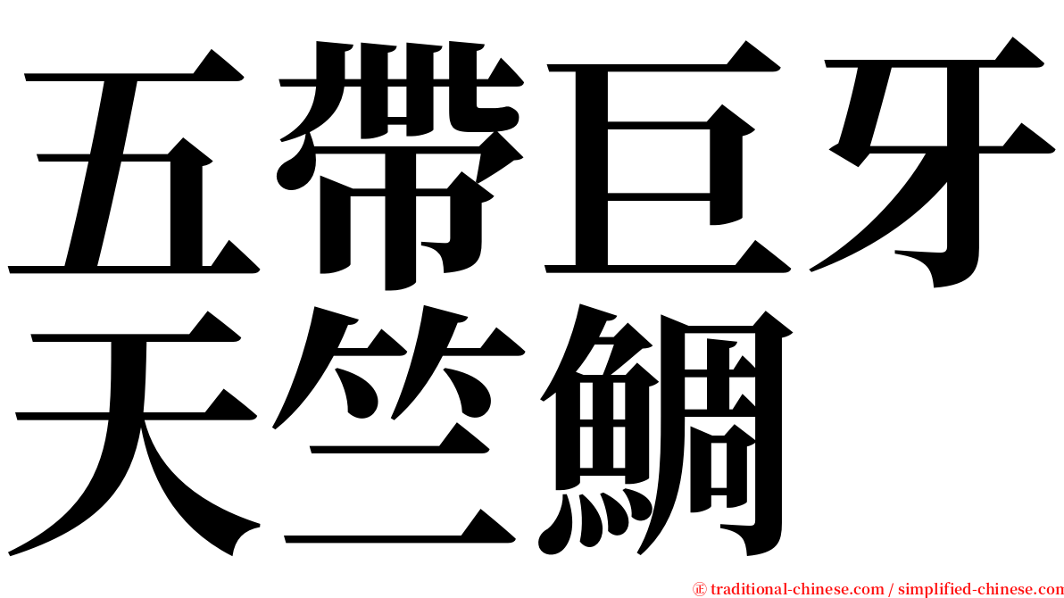 五帶巨牙天竺鯛 serif font