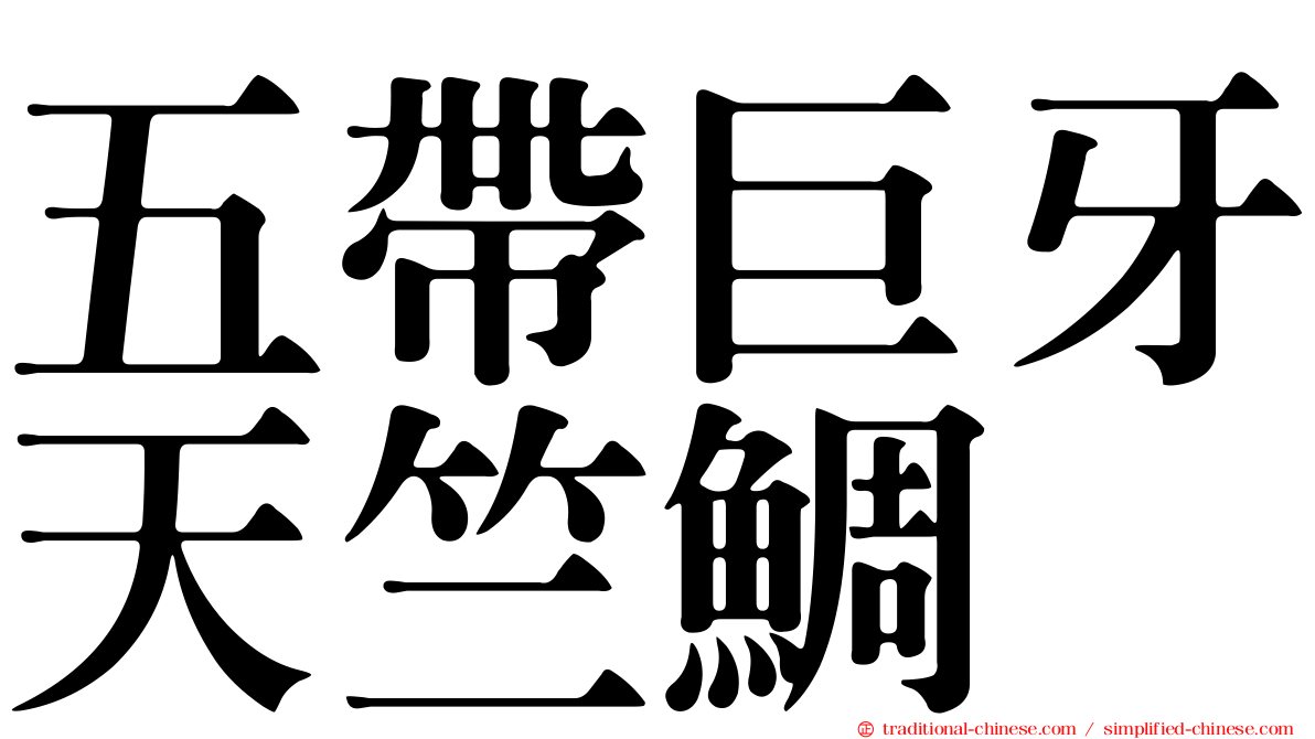 五帶巨牙天竺鯛