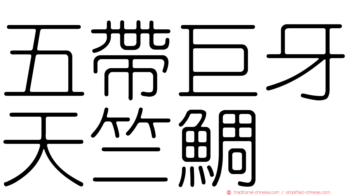 五帶巨牙天竺鯛