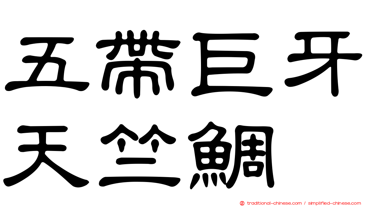 五帶巨牙天竺鯛