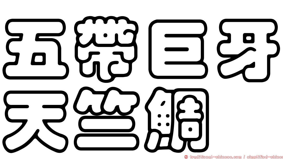 五帶巨牙天竺鯛