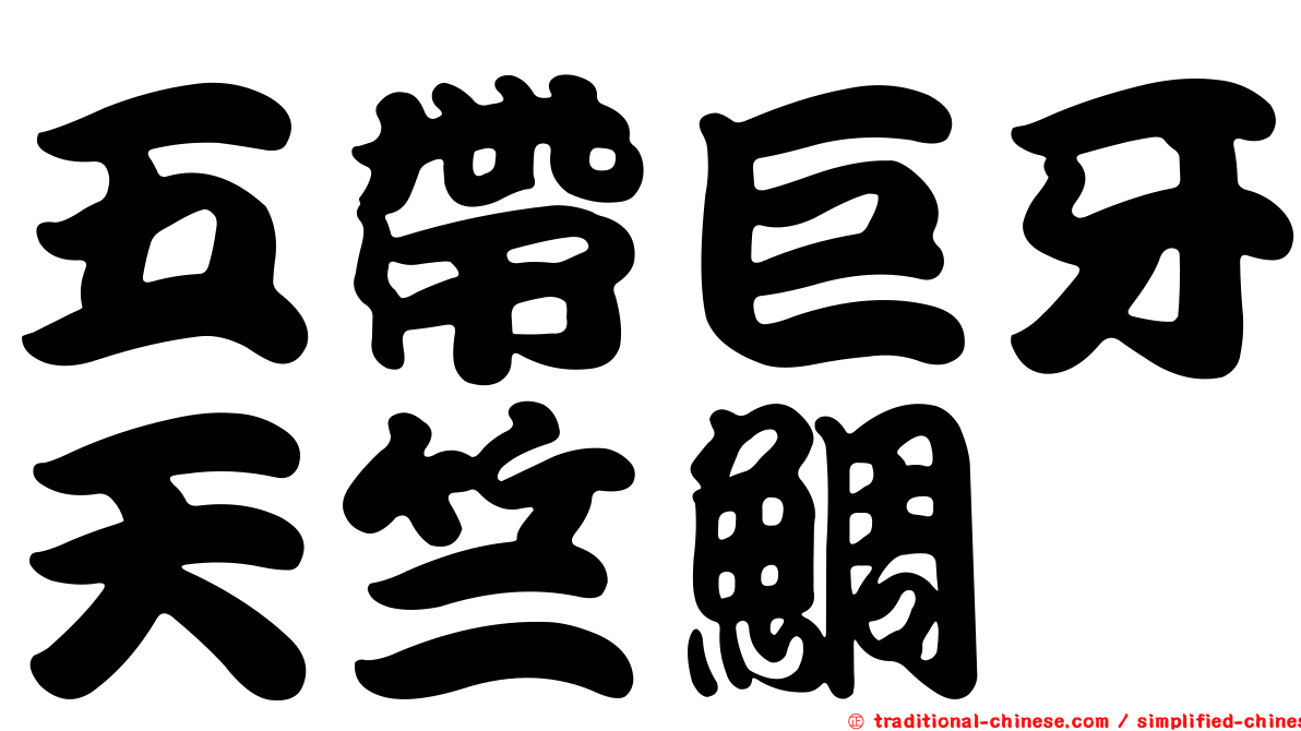 五帶巨牙天竺鯛