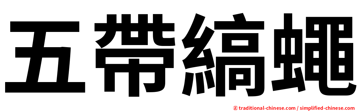 五帶縞蠅