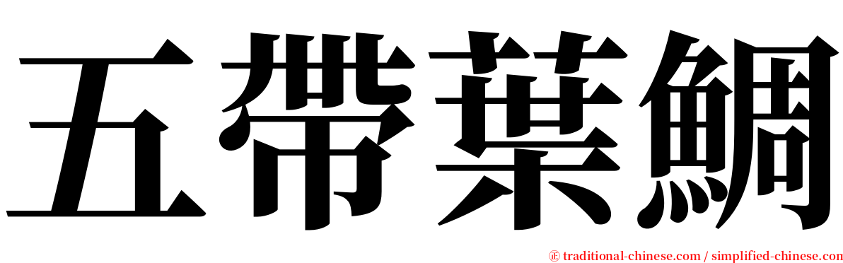 五帶葉鯛 serif font