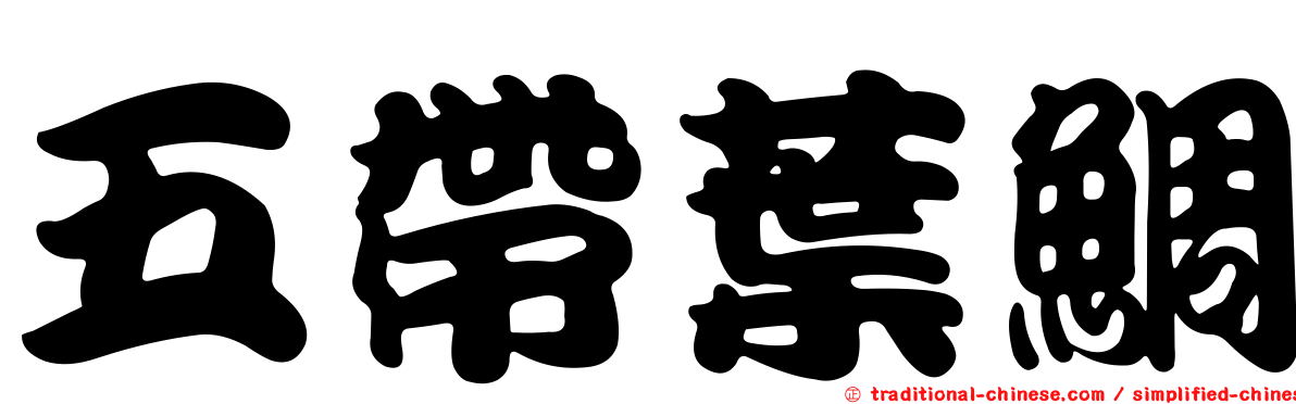 五帶葉鯛