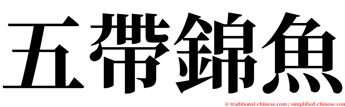五帶錦魚 serif font