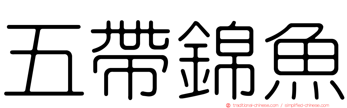 五帶錦魚