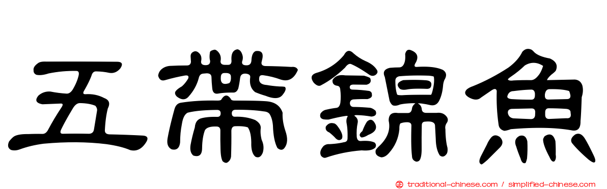 五帶錦魚