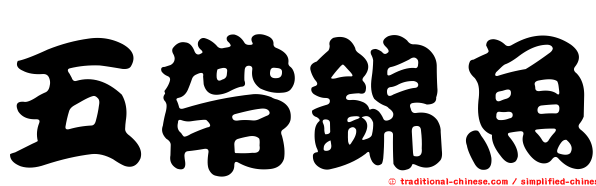 五帶錦魚