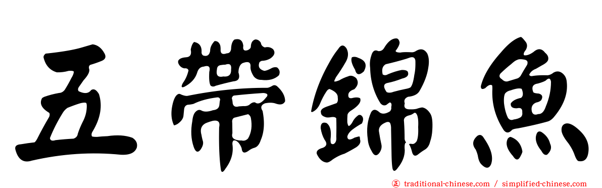 五帶錦魚