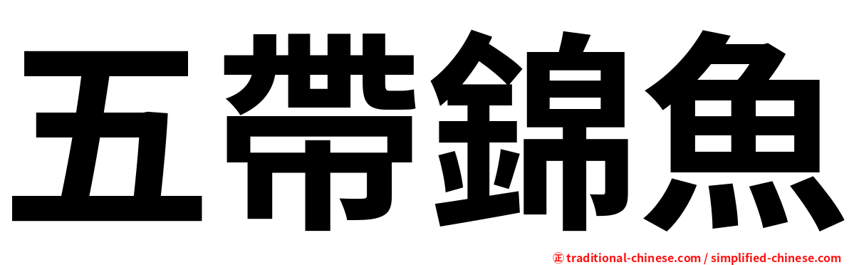 五帶錦魚