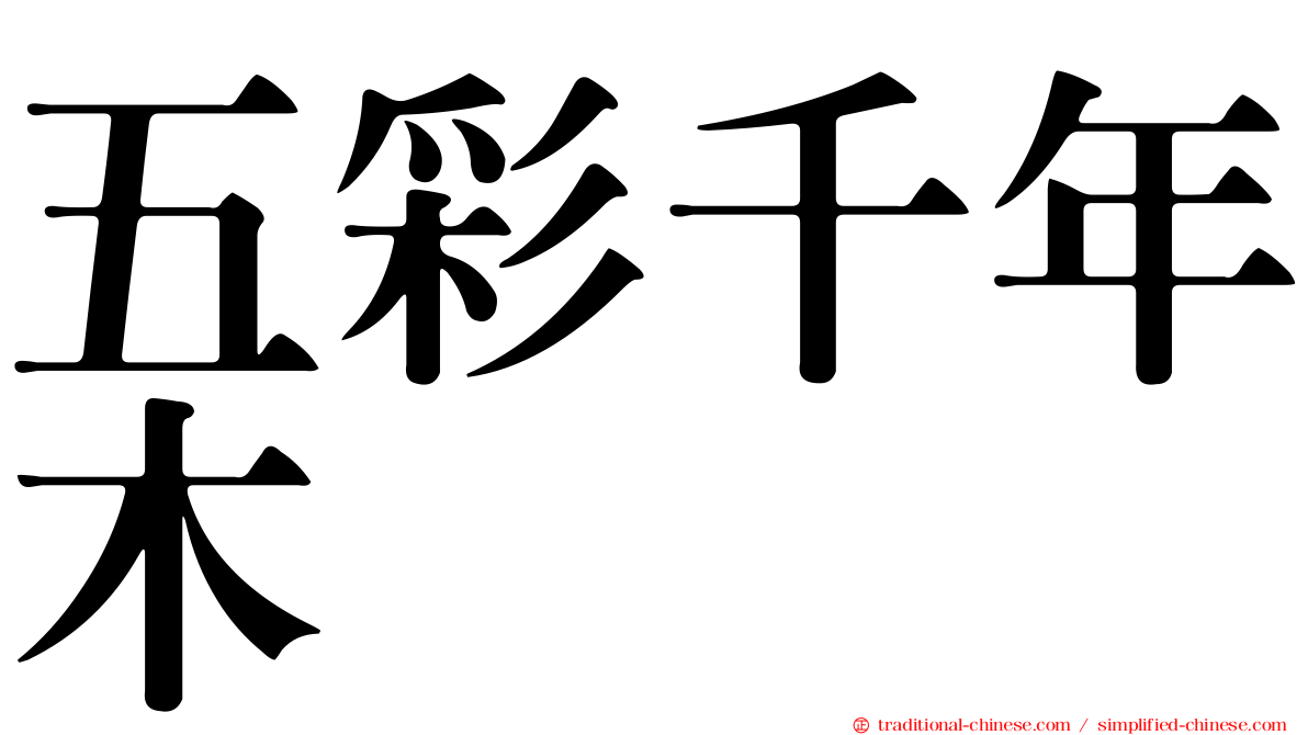 五彩千年木