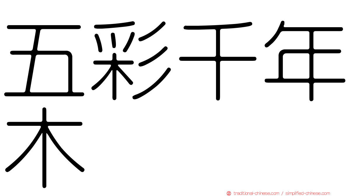 五彩千年木