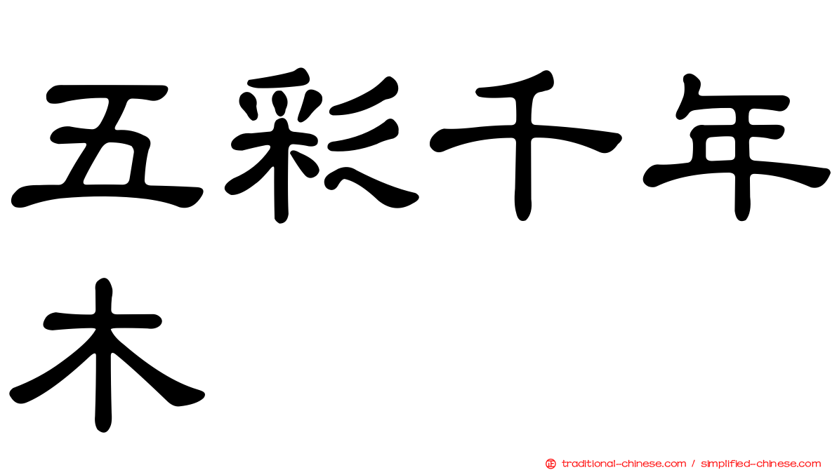 五彩千年木