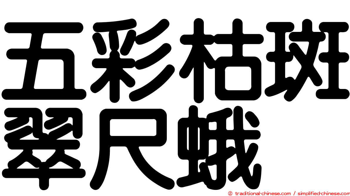 五彩枯斑翠尺蛾