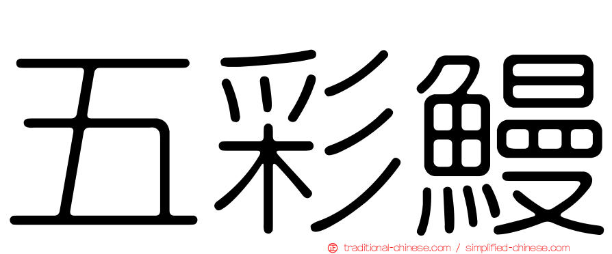 五彩鰻