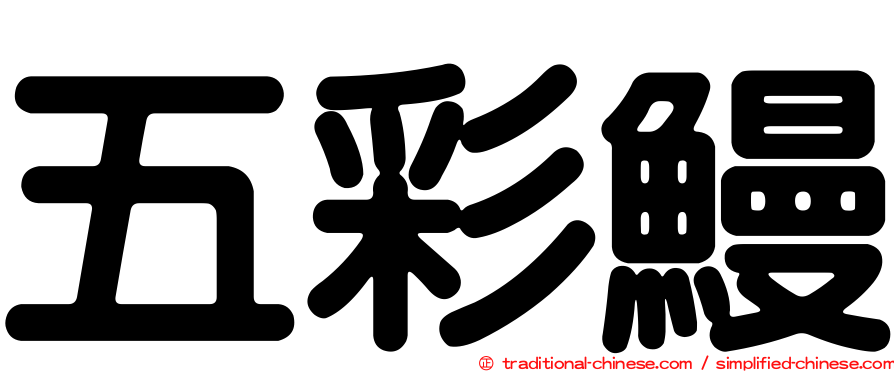 五彩鰻