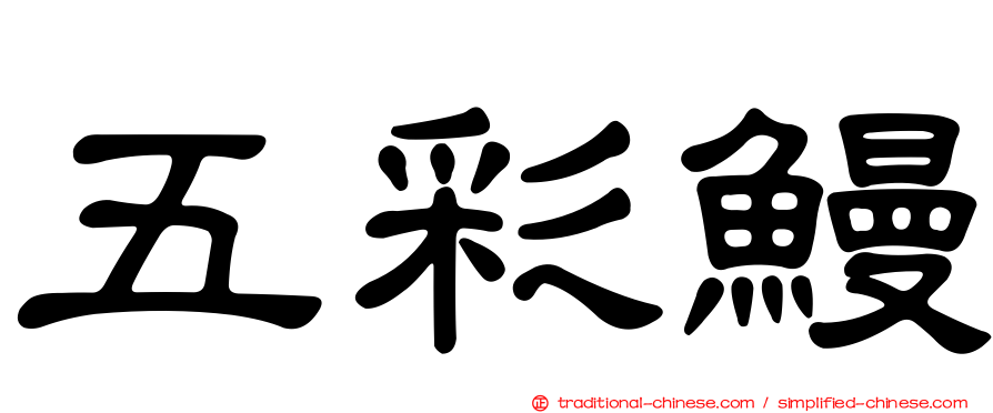 五彩鰻