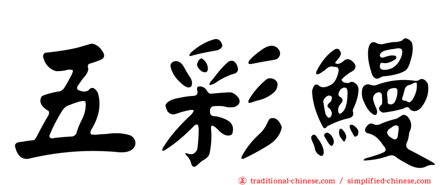 五彩鰻