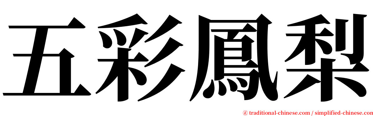 五彩鳳梨 serif font
