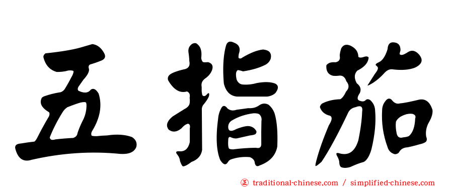 五指茄