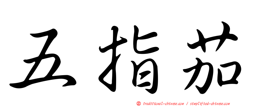 五指茄