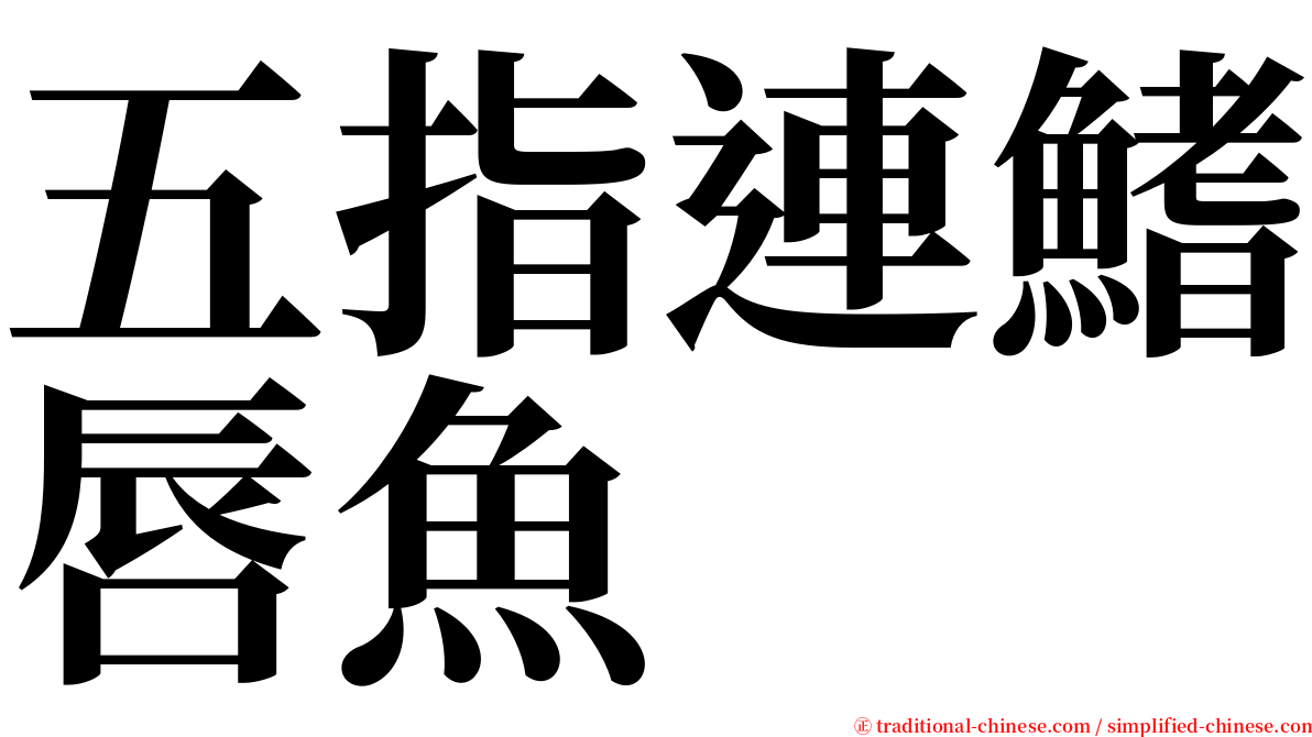 五指連鰭唇魚 serif font