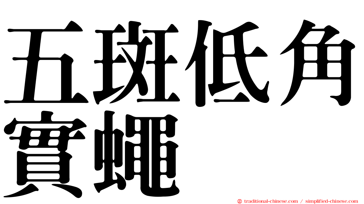 五斑低角實蠅