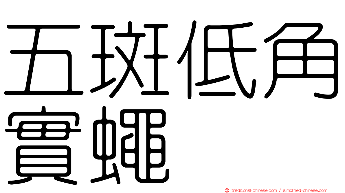 五斑低角實蠅